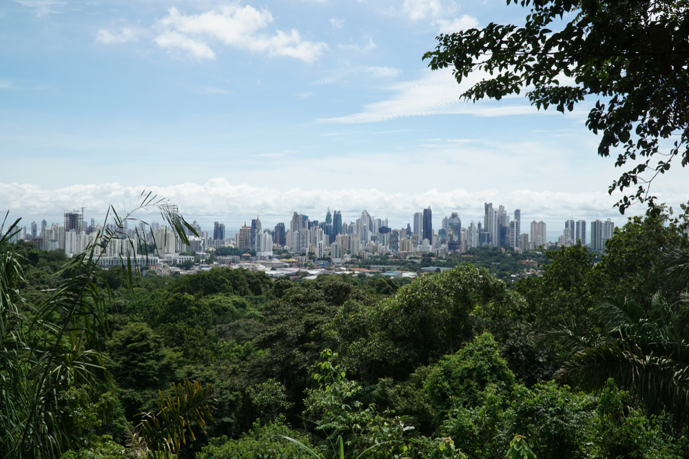 Panama City as seen from the rainforest