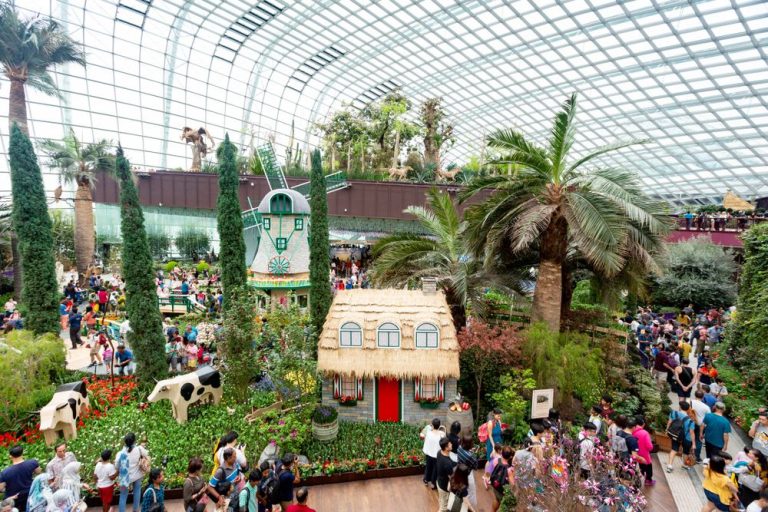 14 Fun Facts About Singapore For Curious Travelers 2023 14 Fun Facts About Singapore For Curious Travelers 2023