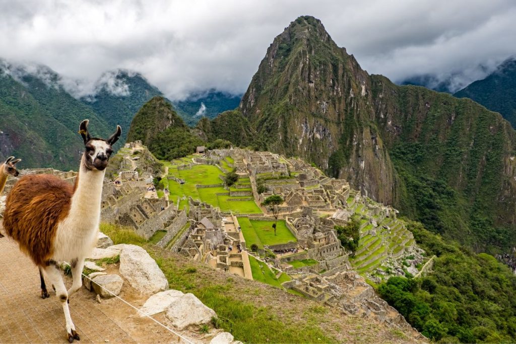 Machu Picchu with a llama