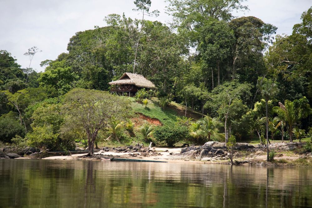 The Central Suriname Natural Reserve