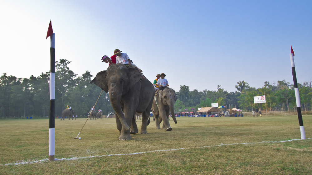 People playing elephant polo in Nepal