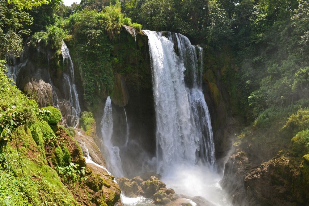 Honduras Wilderness